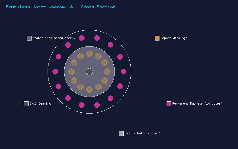 Brushless Motor Anatomy Cross Section